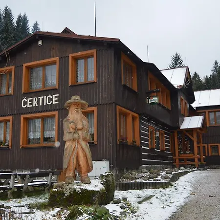 Certice 2*