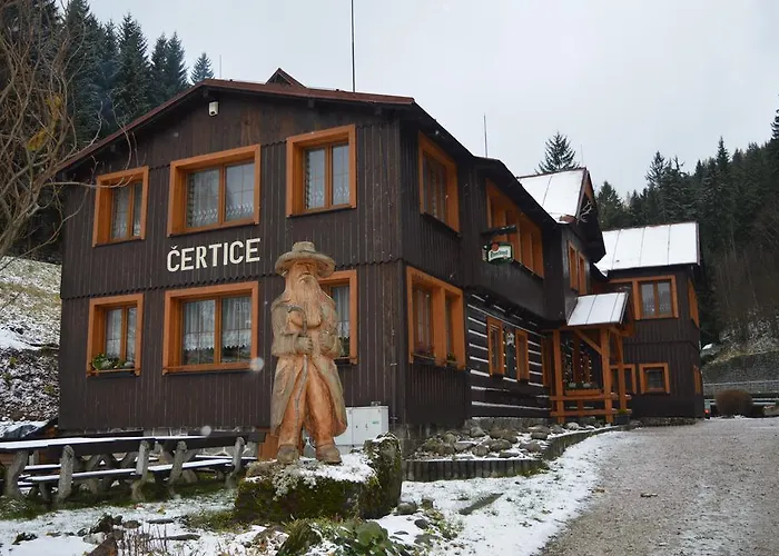 Certice 2*